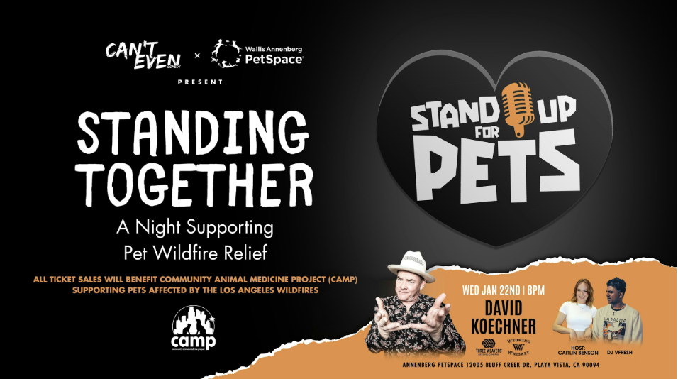 Stand Up for Pets: Standing Together, a night supporting pet wildfire relief